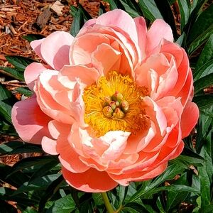 Have A Wonderful Day!